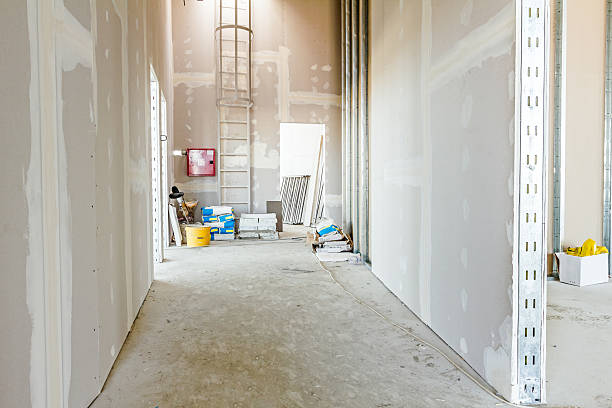 Best Mold Odor Removal Services  in Mangonia Park, FL